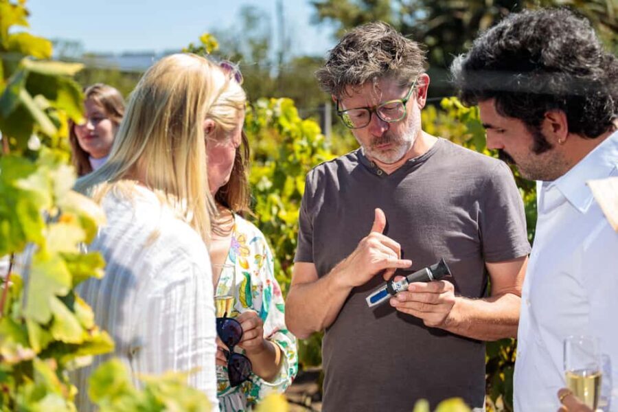 Lisbon: Carcavelos Vineyard Tour and Wine Tasting - The Guided Tour: A Window into Portugal’s Wine Heritage