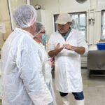 Lisbon Cheese Factory Visit, Wine Tasting and Tile Painting Tour - Transportation and Timing
