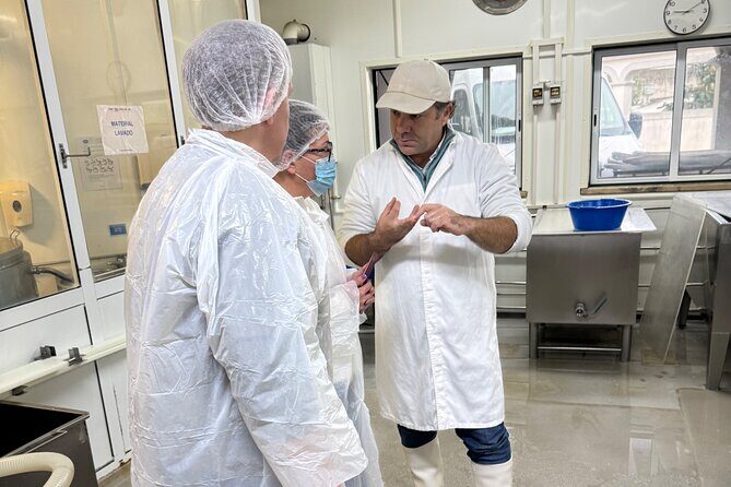Lisbon Cheese Factory Visit, Wine Tasting and Tile Painting Tour - Transportation and Timing