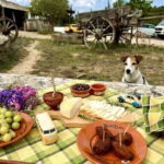 Lisbon Countryside Food Tour on a Vintage Car - What Makes This Tour Stand Out?