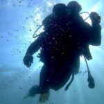 Lisbon: Eco-Friendly Beginner's Scuba Diving - Practical Details & Considerations