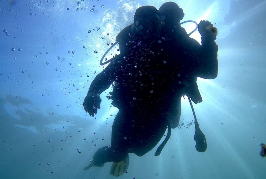 Lisbon: Eco-Friendly Beginner's Scuba Diving - Practical Details & Considerations