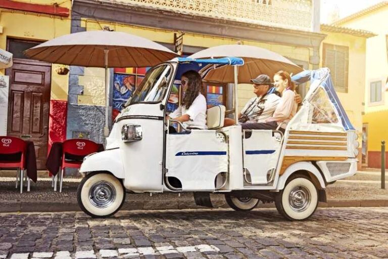 LISBON GRAND EXPERIENCE Tuktuk Tour in German - Who Should Consider This Tour?