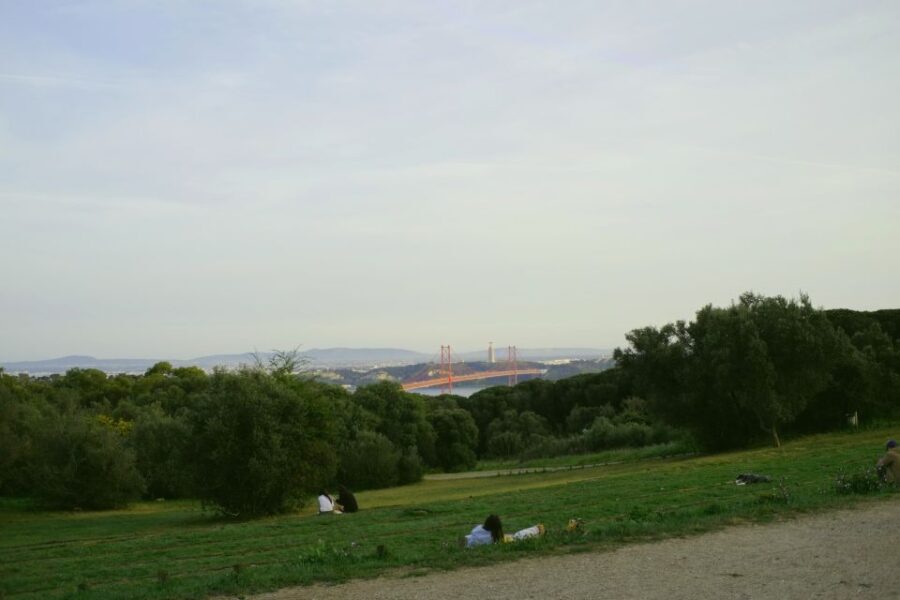 Lisbon: Guided Tour of Monsanto Park by Vintage Bike - A Detailed Look at the Monsanto Bike Tour