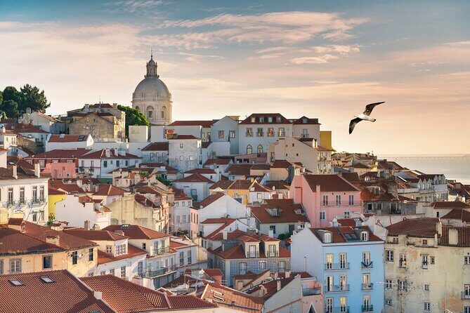 Lisbon Half Day Private Tour - Practical Details and What You’ll Experience