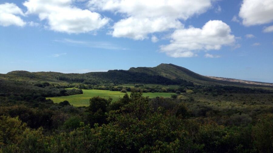 Lisbon: Hiking in Arrábida Natural Park - Who Is This Tour Best For?
