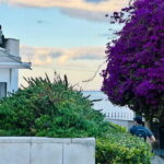 Lisbon: Historic City Tour by Tuk Tuk - In-Depth Review