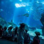 Lisbon Hop-On Hop-Off Bus and Boat Tour with Oceanário Ticket - Authentic Perspectives from Travelers