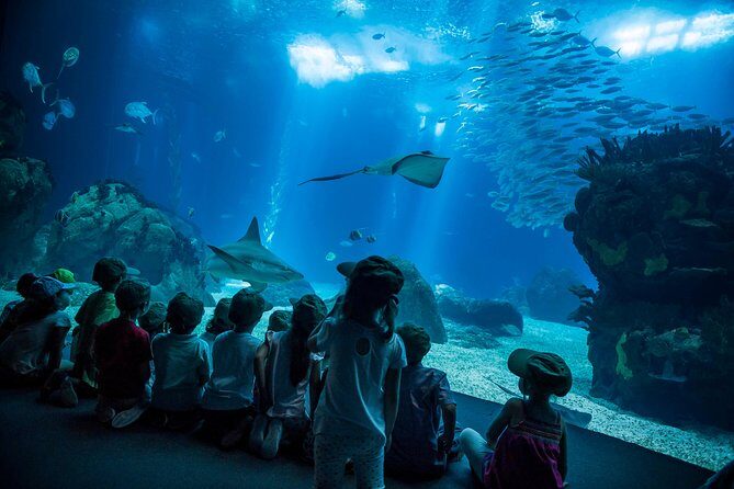 Lisbon Hop-On Hop-Off Bus and Boat Tour with Oceanário Ticket - Authentic Perspectives from Travelers