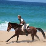 Lisbon: Horse Riding at the Beach with Lunch - The Role of Guides and Group Size