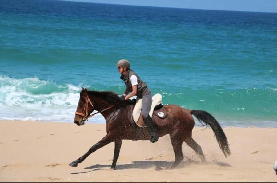 Lisbon: Horse Riding at the Beach with Lunch - The Role of Guides and Group Size