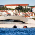 Lisbon: MAAT Entry Ticket & Dolphin Watching Boat Tour - An In-Depth Look at the Lisbon: MAAT and Dolphin Tour