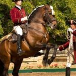 Lisbon: Morning of Equestrian Art with Lusitano Horses - How to Make the Most of Your Visit