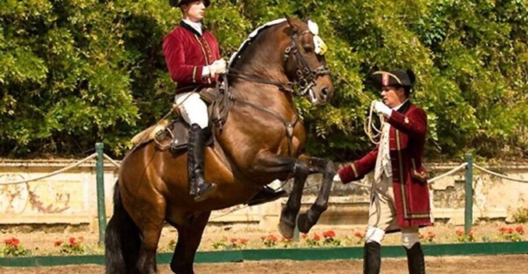 Lisbon: Morning of Equestrian Art with Lusitano Horses - How to Make the Most of Your Visit