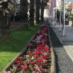 Lisbon: Pena Palace, Sintra, Cascais, and Cabo Roca Day Trip - The Tour Breakdown: What to Expect and Why It Matters