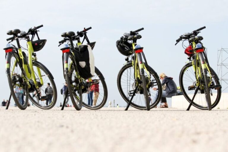 Lisbon: Portuguese Petiscos Tasting Tour by E-Bike - Who Will Love This Tour?