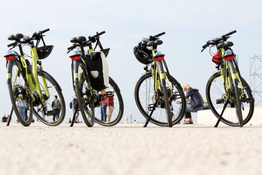 Lisbon: Portuguese Petiscos Tasting Tour by E-Bike - Who Will Love This Tour?