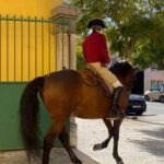 Lisbon: Portuguese Riding School Trainig with Lusitano Horse - Why It’s Worthwhile