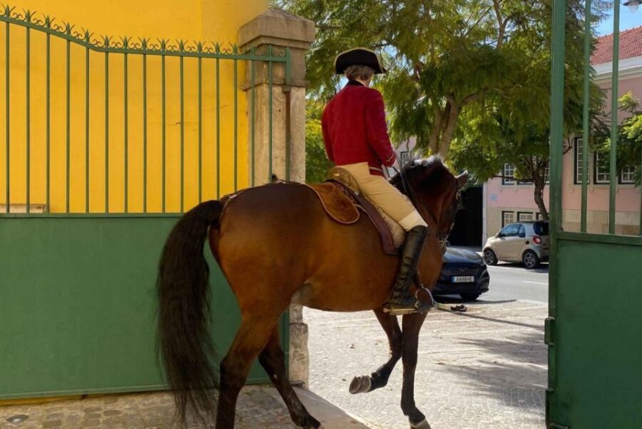 Lisbon: Portuguese Riding School Trainig with Lusitano Horse - Why It’s Worthwhile