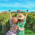 Lisbon: Private All Inclusive Setúbal & Arrábida Wine Tour - A Closer Look at the Experience