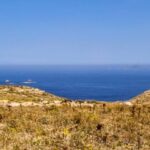 Lisbon: Private Full Day Tour to Berlengas Island - An In-Depth Look at the Berlengas Full-Day Tour