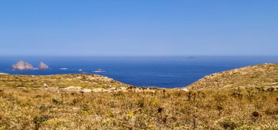 Lisbon: Private Full Day Tour to Berlengas Island - An In-Depth Look at the Berlengas Full-Day Tour