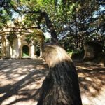 Lisbon Private Tour - Who Will Love This Tour?