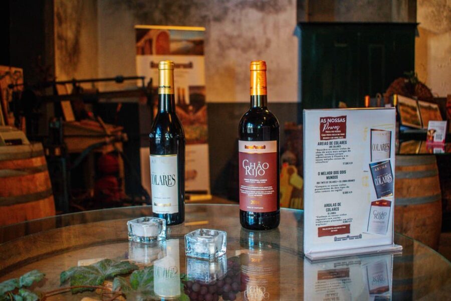 Lisbon: Sintra Off the Beaten Path Tour with Wine Tasting - A Deep Dive into the Experience