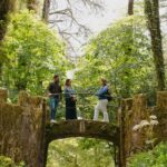 Lisbon: Sintra, Pena Palace, Cabo da Roca & Cascais - Who This Tour Is Best For