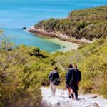 Lisbon: Snorkeling and Wine Tasting in Arrábida - The Value Proposition