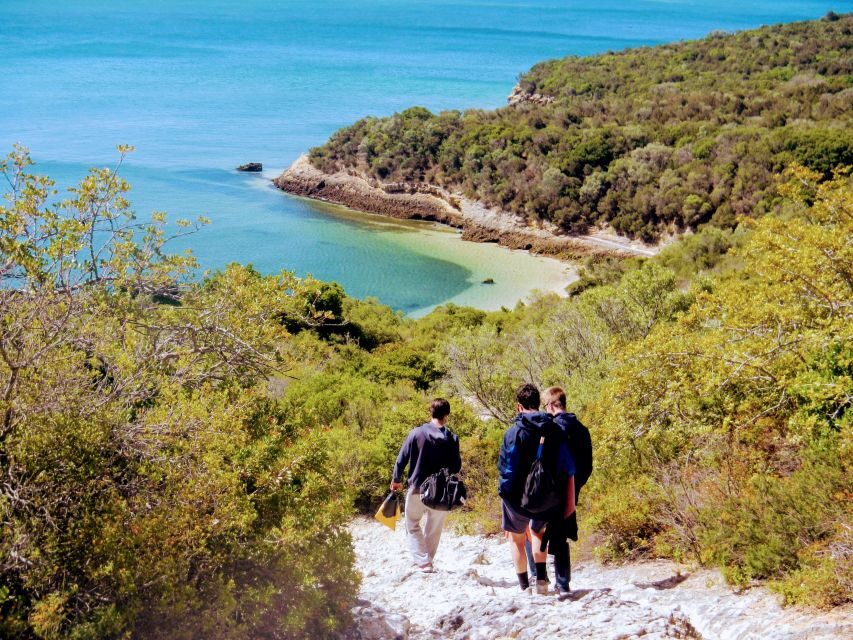 Lisbon: Snorkeling and Wine Tasting in Arrábida - The Value Proposition