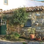 Lisbon Southern Region (Fernão Pó) Wine Tasting Private Tour - What Makes This Tour Stand Out?