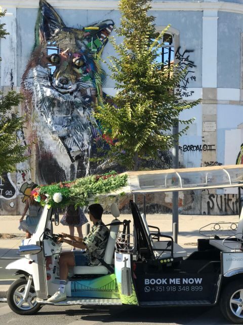 Lisbon: Street Art Private Guided Tour by Tuk-Tuk - Transportation and Convenience