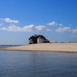 Lisbon: Tagus Estuary Nature Reserve Birdwatching Boat Tour - A Deep Dive into the Lisbon Birdwatching Experience