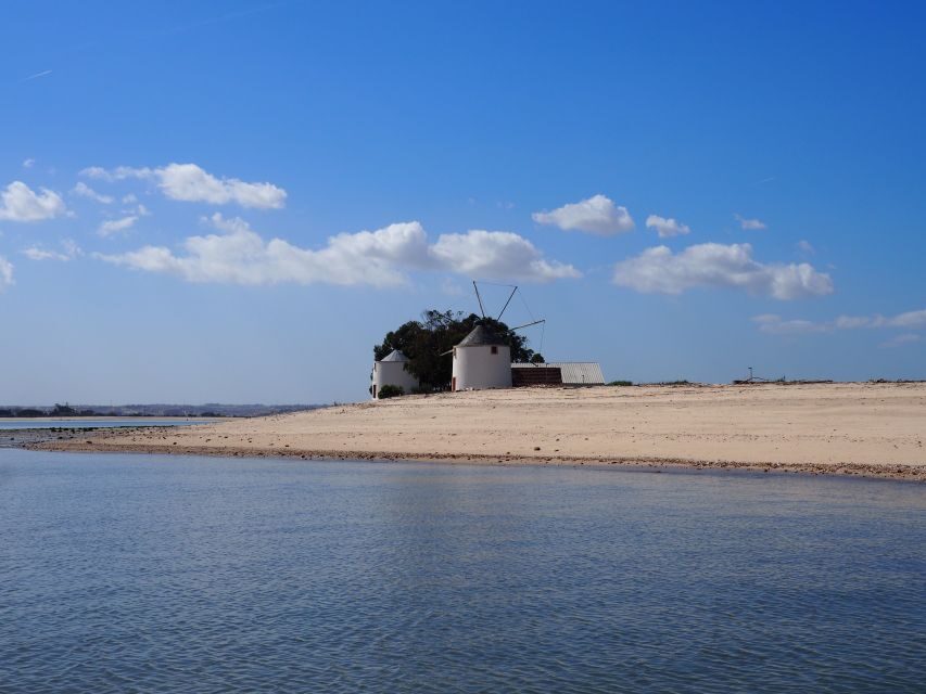 Lisbon: Tagus Estuary Nature Reserve Birdwatching Boat Tour - A Deep Dive into the Lisbon Birdwatching Experience