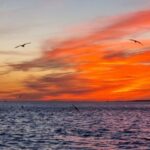 Lisbon: Tagus River Boat Sunset and Night Champagne Tour - The Value and Practical Considerations