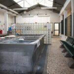 Lisbon Walking Tour - Authentic Experiences and Authentic Insights