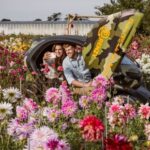 Lisse: Drive-it-Yourself Summer Flower GPS Audio Tour - Authentic Experiences and Traveler Feedback