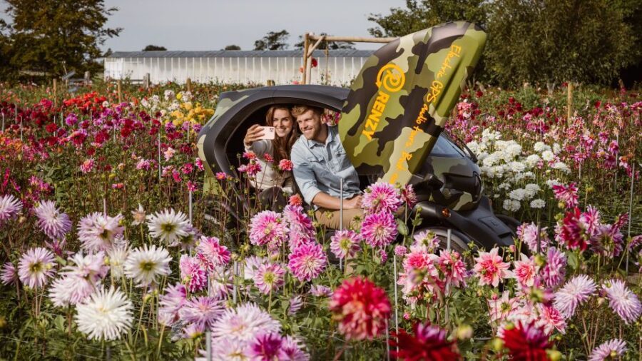 Lisse: Drive-it-Yourself Summer Flower GPS Audio Tour - Authentic Experiences and Traveler Feedback