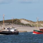List/Sylt: Guided Seal-Watching Cruise on a Rustic Boat - Authenticity and Value