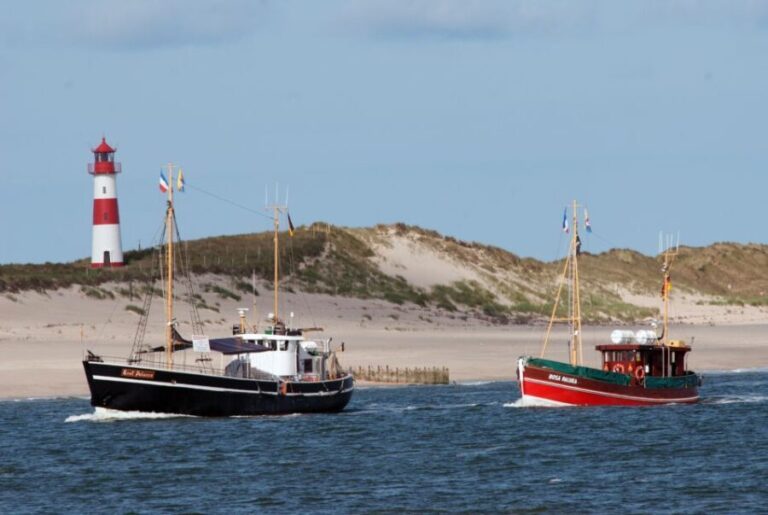 List/Sylt: Guided Seal-Watching Cruise on a Rustic Boat - Authenticity and Value