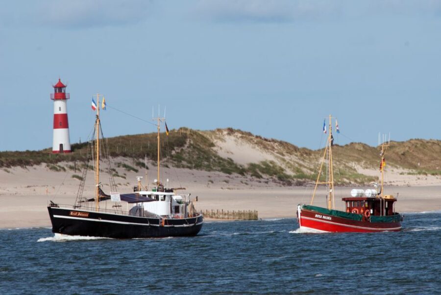 List/Sylt: Guided Seal-Watching Cruise on a Rustic Boat - Authenticity and Value