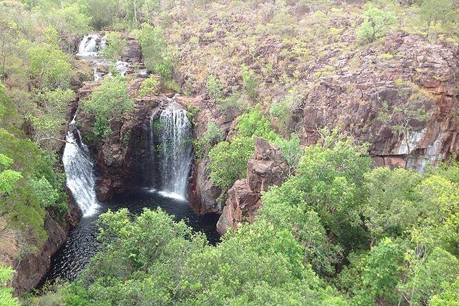 Litchfield National Park and Jumping Crocodile Cruise - Authentic Experiences Based on Real Reviews