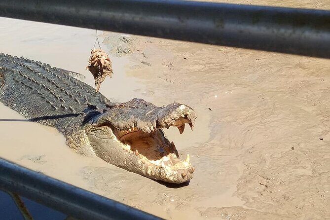 Litchfield National Park Tour with Wetlands or Crocodile Cruise - The Sum Up: Is This Tour Worth It?