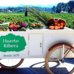 Live an Experience Among Orange Trees in Huerto Ribera - Tasting Valencian Flavors