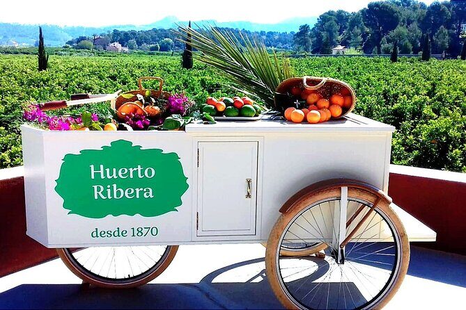 Live an Experience Among Orange Trees in Huerto Ribera - Tasting Valencian Flavors