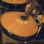 Live Fado Private Tour in Lisbon with Dinner - Who Would Enjoy This Tour?