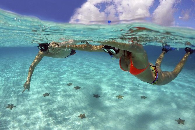 Live this unique snorkeling experience. El Cielo in Cozumel a magical tour. - Value and Considerations