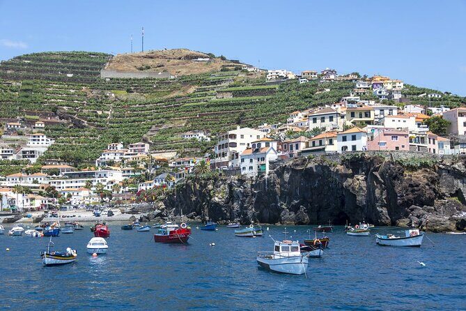 Living Sea Boat Trip in Madeira from Funchal - Exploring the Itinerary in Detail