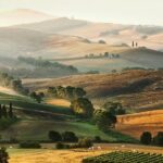 Livorno port to Bolgheri wine region and Etruscan castle - Who Is This Tour Best Suited For?